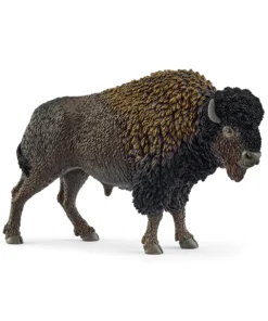 Bison
