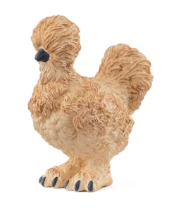 Silkie Chicken
