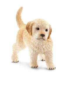 Golden Retriever puppy