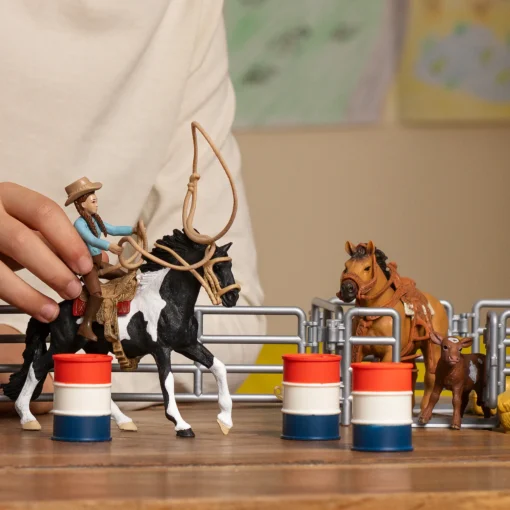 Rodeo Show - Image 2