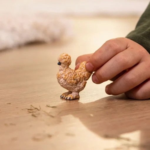 Silkie Chicken - Image 2